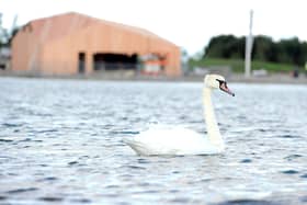 Lifesaving equipment at the boating lake has been tampered with