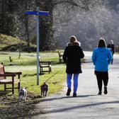 Callendar Park is a popular spot with dog walkers