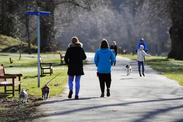 Callendar Park is a popular spot with dog walkers