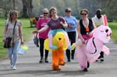 Staff from the Haining Nursing Home donned Easter-themed costumes for their sponsored walk. Pic: Michael Gillen