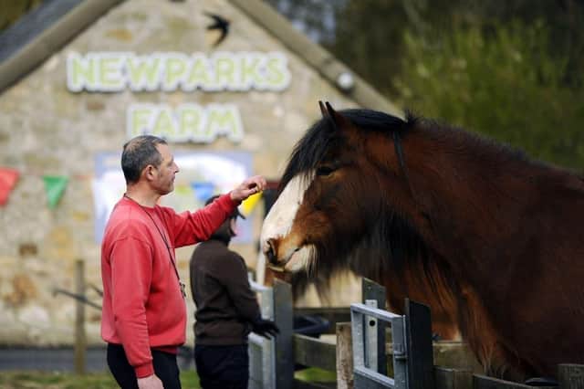 Newparks Farm at Muiravonside Country Park is one of the project areas that people are being asked about.  (Pic: Alan Murray)