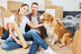 Moving home is an exciting - but stressful - time for both you and your dog.