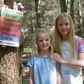 Heidi (5) and Holly (8) Wilson started making a Fairy Trail in the woods at the old opencast site near Avonbridge during lockdown.  Pic: Michael Gillen.