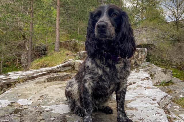 Scottish SPCA supporter from Linlithgow takes on 
