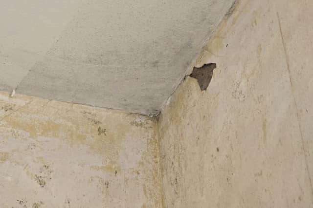 Damp on the walls and ceiling of the Camelon property. Pic: Contributed
