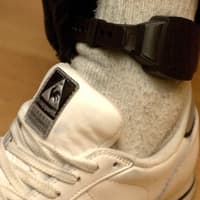 Grangemouth domestic offender granted time off from tag to travel down south
