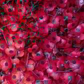 Poppies