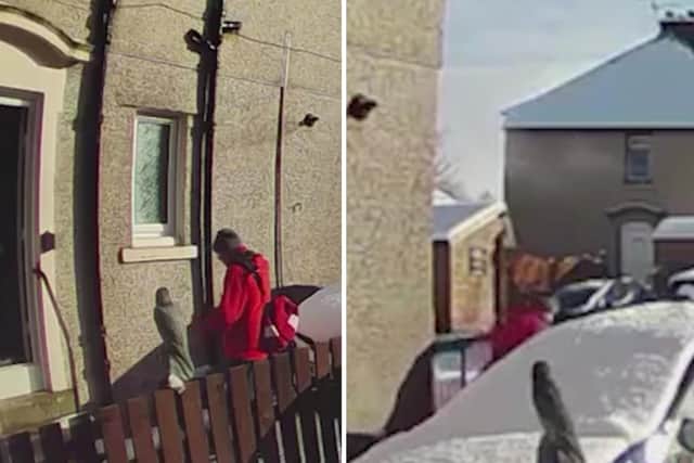 The shocking footage shows the postie walking away from the person.