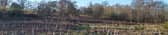 Sponsored trees have already been planted at Triangle Wood in Linlithgow.