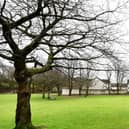 Residents will be able to air their views about the new pump track in Anderson Park (Picture: Submitted)