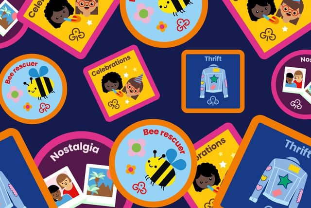Designs of the new bee rescuer, celebrations, thrift, and nostalgia badges