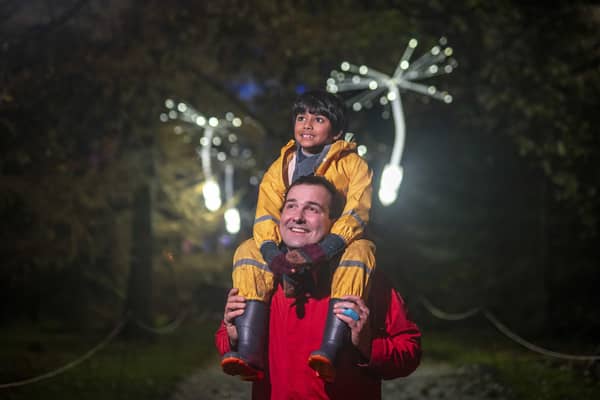 Light A Wish dandelion seeds appear to be  dispersed in the air as Christmas At The Botanics opens at Royal Botanic Gardens Edinburgh. Photo: Phil Wilkinson