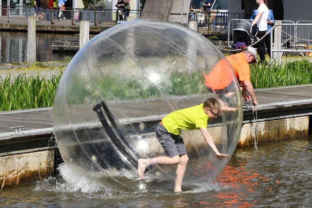 The zorbs proved popular.