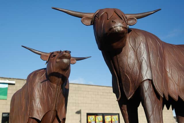 Highland cow sculptures in Stenhousemuir town centre were allegedly targeted by vandals on Saturday. Picture: Scott Louden.