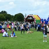 Last year's Foreshore Fun Day, organised by BuzzNess drew in the crowds and it's back this weekend.  (Pic: Michael Gillen)
