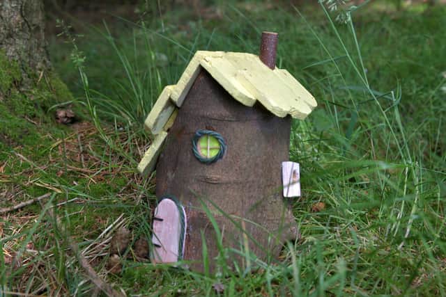 Fairy doors and houses can now be found in the woods.  Pic: Michael Gillen