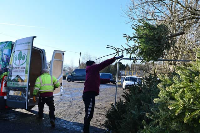 Volunteers from several local businesses collected the trees. Pic: Michael Gillen