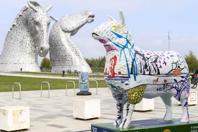 The Flock to the Show sculptures are currently touring Scotland.  (Pic: Ian Georgeson)