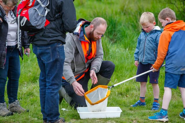 Pond dipping is one of the nature activities taking place at Muiravonside Country Park again this year.