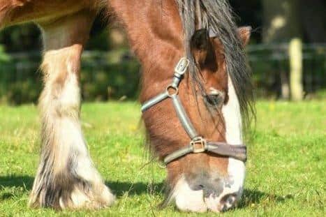 The target of £750 to commission a unique memorial to Hamish has been reached.