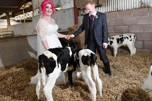 The happy couple join the flock at Hillend Farm in Shiledhill