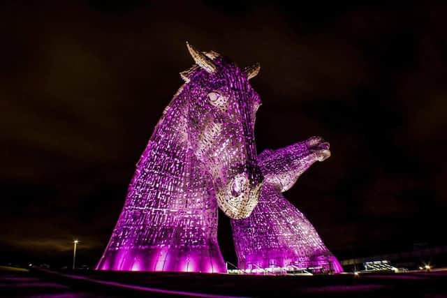 The Kelpies will turn purple for epilepsy awareness day later this month (Picture: Submitted)