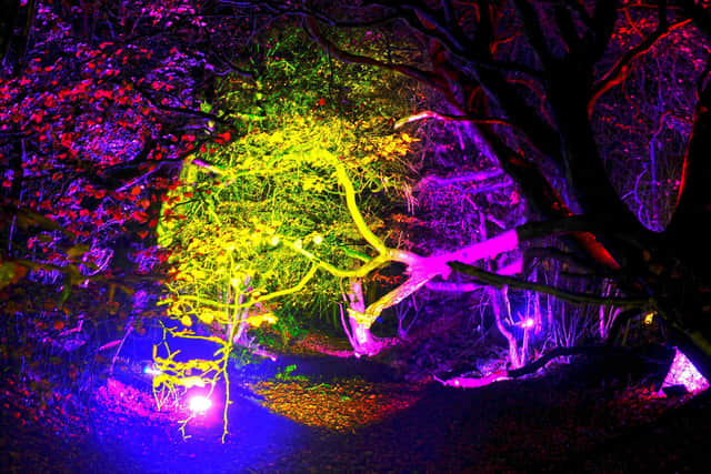 Rough Castle Experiences previously lit up the woodland at Rough Castle, near Tamfourhill, when it held a Legion display on the Romans. Picture: Michael Gillen.