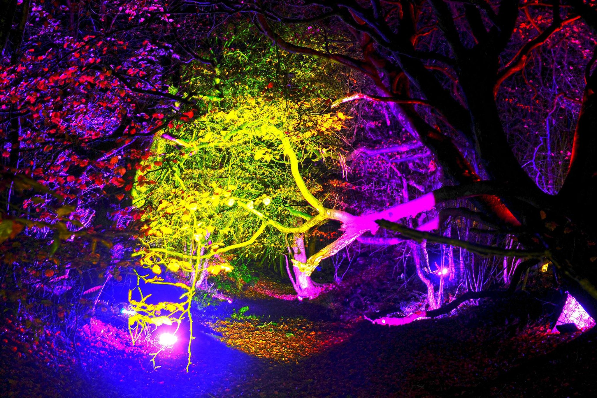 Organisers unveil plan for A Christmas Miracle at Rough Castle in 2021