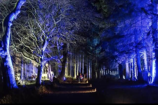 The Beecraigs Festive Forest attraction held just outside Linlithgow at Beecraigs Country Park. 