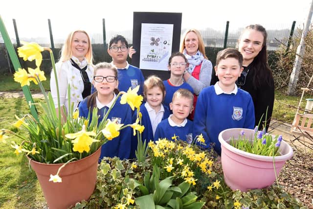 Windsor Park School pupils and staff with their pocket garden. Pic: Lisa Evans