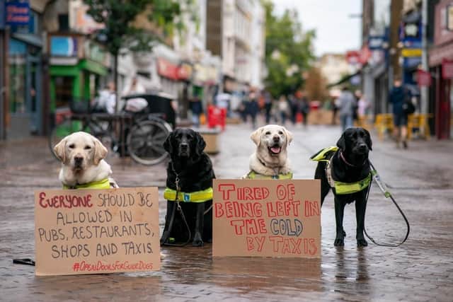 Guide Dog owners - and their dogs - are campaigning against access refusals