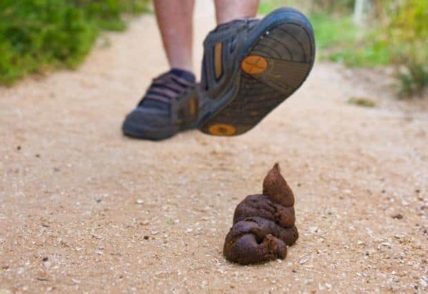 There are funds available for local projects looking to cut down on dog fouling