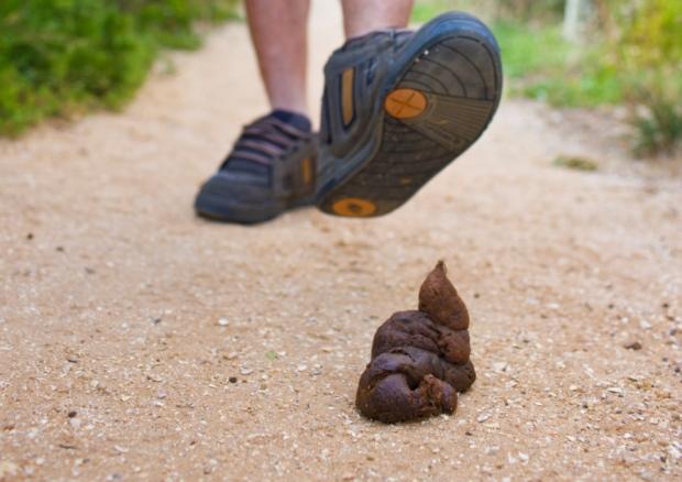 There are funds available for local projects looking to cut down on dog fouling