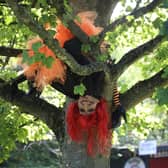 Witch in a tree