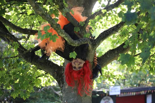 Witch in a tree