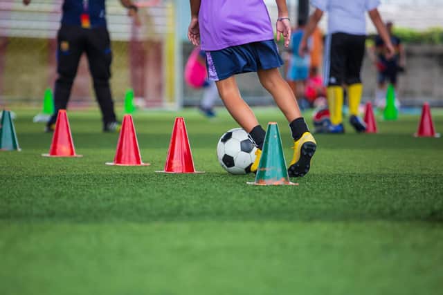 There has been a rise in the number of football pitches in the Falkirk Council area. Pic: Adobe stock