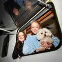 Twins Ayla and Amber Anderson, aged 11, with Bella their four-year-old Maltese dog as the family prepare to spend the night in their motor home as they have a second night of no electricity in Kinnaird. Pic: Michael Gillen