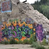 If approved by councillors, the local authority will employ a dedicated team to remove graffiti from public buildings and infrastructure.