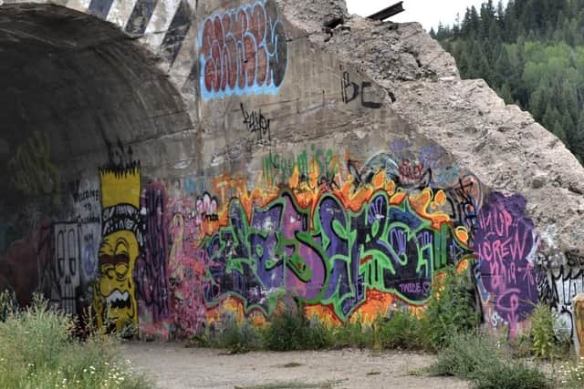 If approved by councillors, the local authority will employ a dedicated team to remove graffiti from public buildings and infrastructure.