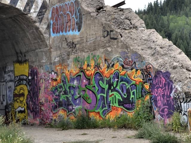 If approved by councillors, the local authority will employ a dedicated team to remove graffiti from public buildings and infrastructure.