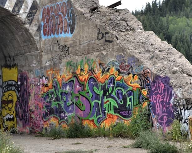 If approved by councillors, the local authority will employ a dedicated team to remove graffiti from public buildings and infrastructure.