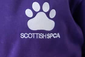 The Scottish SPCA is investigating the incident