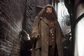 A Warner Bros still image of Robbie Coltrane as Rubeus Hagrid