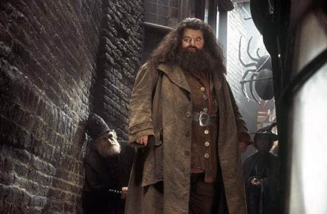 A Warner Bros still image of Robbie Coltrane as Rubeus Hagrid