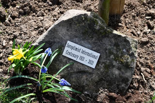 A small plaque marks the tree as the one planted by Soroptimist International Falkirk