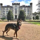 Police Dog Chase helped trace a missing woman in Larbert
(Picture: Submitted)