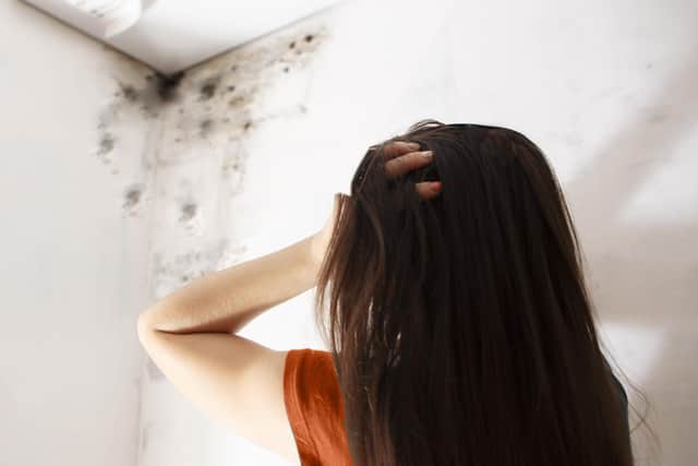 MSP Megan Gallacher said the rise in damp house complaints to Falkirk Council was "alarming". Pic: Adobe Stock
