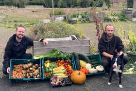 Sean Kerr (left) and Steve McQueen, with Billy the collie - an integral member of the team - prepare one of four donations they make every week during the growing season for four very grateful local food banks.