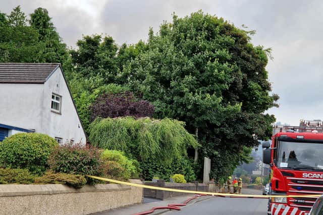 Carronvale Road and Main Street were closed due to the fire. Pic: National World