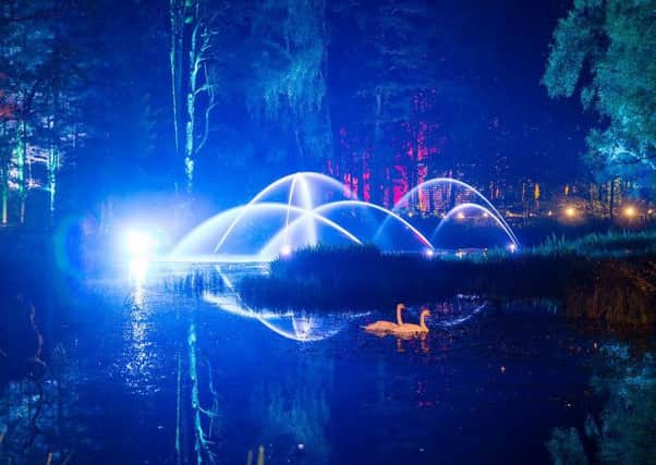 Enter a magical world of souond and light at the Enchanted Forest. (Picture by Angus Forbes.)